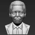 nelson-mandela-bust-ready-for-full-color-3d-printing-3d-model-obj-mtl-fbx-stl-wrl-wrz (21).jpg Nelson Mandela bust 3D printing ready stl obj