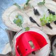 330129606_927528668275959_5115557388575703733_n.jpg Hydroponic System  for "PVC 75mm"