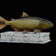 golden-dorado-statue-box-1-8.png fish golden dorado / Salminus brasiliensis with storage space / for 3d printing