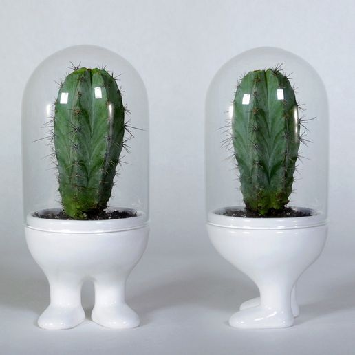 Orthos_display_large.jpg Lata Space Explorer