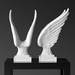 render_2.jpg Ailes d'ange