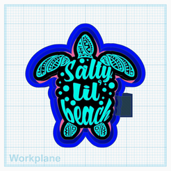 Salty-Beach-turtle.png STL file Salty beach turtle・3D print model to download