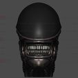 09.jpg Alien Xenomorph Head Decor Wearable Cosplay