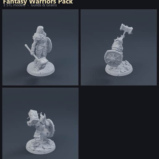 Fantasy Warriors Pack 3D printable STL miniature