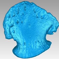 HadrosaurusClaw.jpg STL-Datei Hadrosaurus-Dinosaurier-Klaue kostenlos・3D-druckbares Modell zum herunterladen
