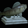zander-open-mouth-tocenej-9.png fish zander / pikeperch / Sander lucioperca trophy statue detailed texture for 3d printing