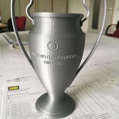 IMG_20180517_105813.jpg Free STL file Football Trophy (+Team Logos)・Object to download and to 3D print, CSD_Salzburg