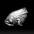 f1.jpg Horned Frog (HighQuality)