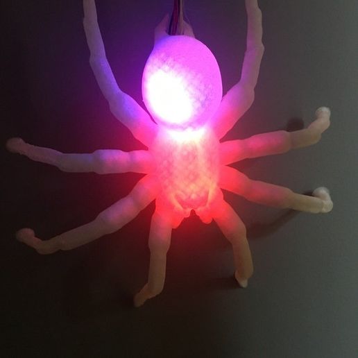 0596cc18dcc79aa76ff95be03d1f524c_display_large.JPG Aranha suspensa