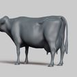 R04.jpg dairy cow pose 01