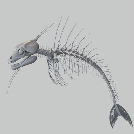 Ghost Pipefish Skeleton – Rare Marine Fish Anatomy Model