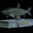Grass-carp-statue-5.png fish grass carp / Ctenopharyngodon idella statue detailed texture for 3d printing