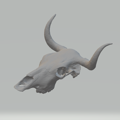 pic-0.png Cow Skull