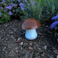 Capture.JPG Fichier STL gratuit Champignon Bolet, Girolle・Design pour imprimante 3D à télécharger