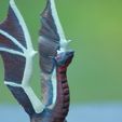 Aria el dragón