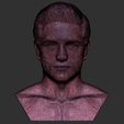 19.jpg Handsome man bust ready for full color 3D printing TYPE 1