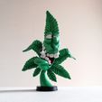 Crazy-weed_3.jpg Файл STL Г-н Марио Хуано・Дизайн 3D принтера для загрузки