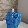 PicsArt_05-05-11.54.18.jpg Wireframe Skull Pencil Holder