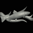pstruh-16.png rainbow trout underwater statue on the wall detailed texture for 3d printing