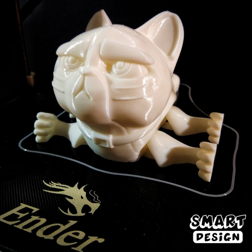 IMG_20230406_124743-01.png Angry Kitten