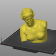 Screenshot-2023-06-12-205315.png Venus de Milo Head Bust