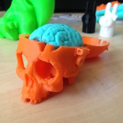 SkullBox_3DK_4.jpg Free STL file Boneheads: Skull Box w/ Brain - via 3DKitbash.com・3D printing template to download, Quincy_of_3DKitbash