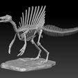Spinosaurus3.jpg Spinosaurus SKELETON - FULL 3D Spinosaurus DINOSAUR BONES