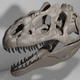 untitled.png Allosaurus Skull 3d print Model 34 CM
