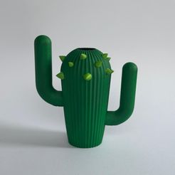 WhatsApp-Image-2023-12-03-at-17.09.32.jpeg Watering Can