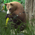 0_00068.png Bear DOWNLOAD Bear 3d model - animated for blender-fbx-unity-maya-unreal-c4d-3ds max - 3D printing Bear Bear