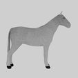 View4.jpg Horse 3D Models
