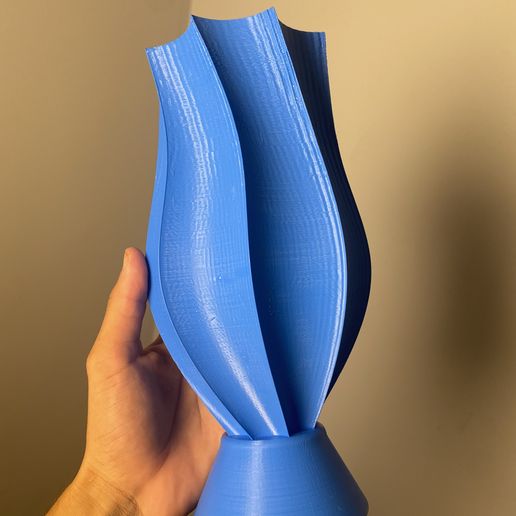 IMG_5807.jpeg Modern Decorative Vase - Minimalist Design