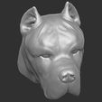 21.jpg Cane Corso dog head for 3D printing