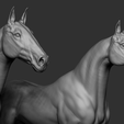 07.png Three Horse Breeds