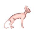 model-1.png Sphynx cat low poly
