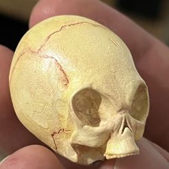 GREY ALIEN SKULL