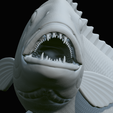 Dentex-trophy-60.png fish Common dentex / dentex dentex trophy statue detailed texture for 3d printing