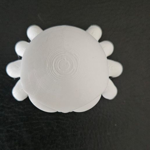 Cod888-Spider-Big-Eyes-12.jpeg Spinne Große Augen