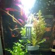 20201211_232748.jpg Modularized terrace system for biOrb fish tank