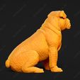 2965-Bulldog_Pose_05.jpg Bulldog Dog 3D Print Model Pose 05
