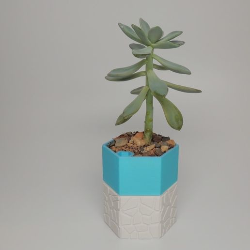 Self-watering Planter 3