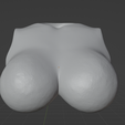 miulbust1.png Miu L Chest Option
