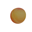 2.png Apricote Apricote 3D Fruit FRUIT FOREST WOOD NATURE FRUIT