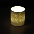 cup_TCC_snake_02.JPG Storm Lamp With Tai Chi Chuan Move