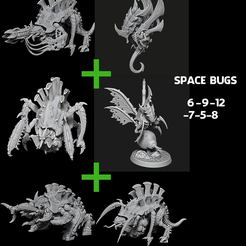 Layer-2.png SPACE BUGS - INSECTES DE L'ESPACE 6-9-12-7-5-8