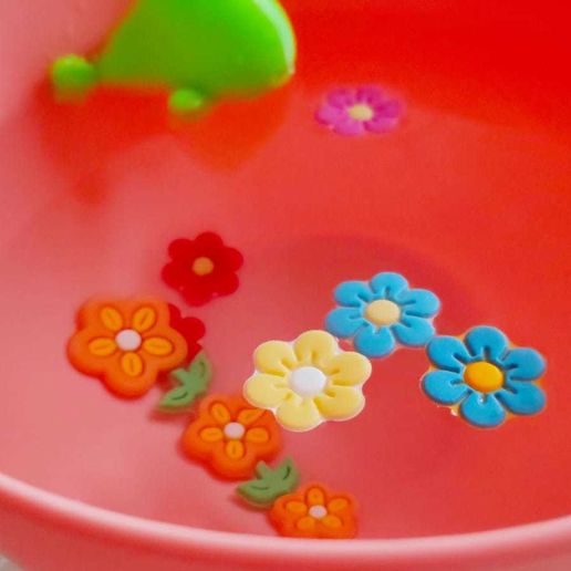 fishfoto (2).jpeg Little Fish