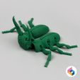 04.jpg Foldable Stag Beetle - Flexi