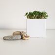 petit_pot_carr__imprim__en_3D_4.jpg Free STL file Little Square Planter・3D printer design to download