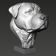 06.jpg Rottweiler Head Sculpture