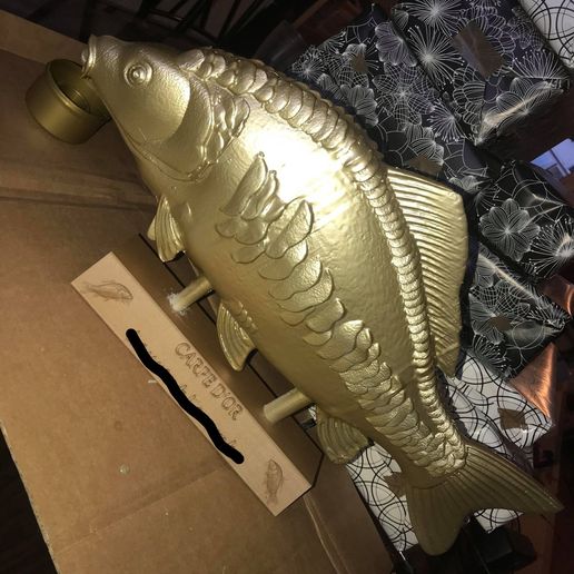 158627367_157941419405190_6077488239862901881_n_LI.jpg goldfish